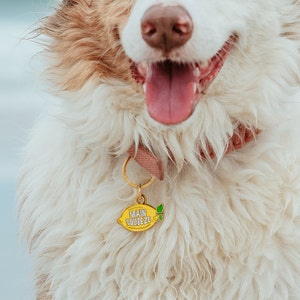 Main Squeeze Custom Dog Tag Personalized Pet ID Laser Engraved Name Tag Gold Lemon Dog Gift