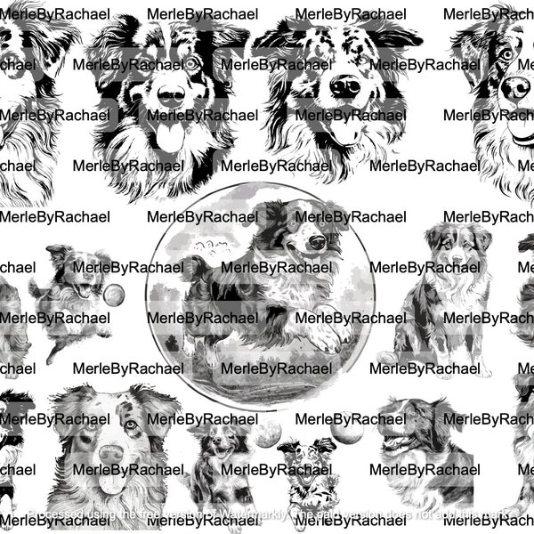 Australian Shepherd Bundle Vector SVG Images | Digital Download | Dog Breed Graphics | High-Quality Graphics | Inkscape | Laser Engraving