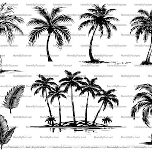 May include: A set of black and white illustrations of palm trees and tropical leaves. The illustrations are drawn in a simple, stylised manner.
