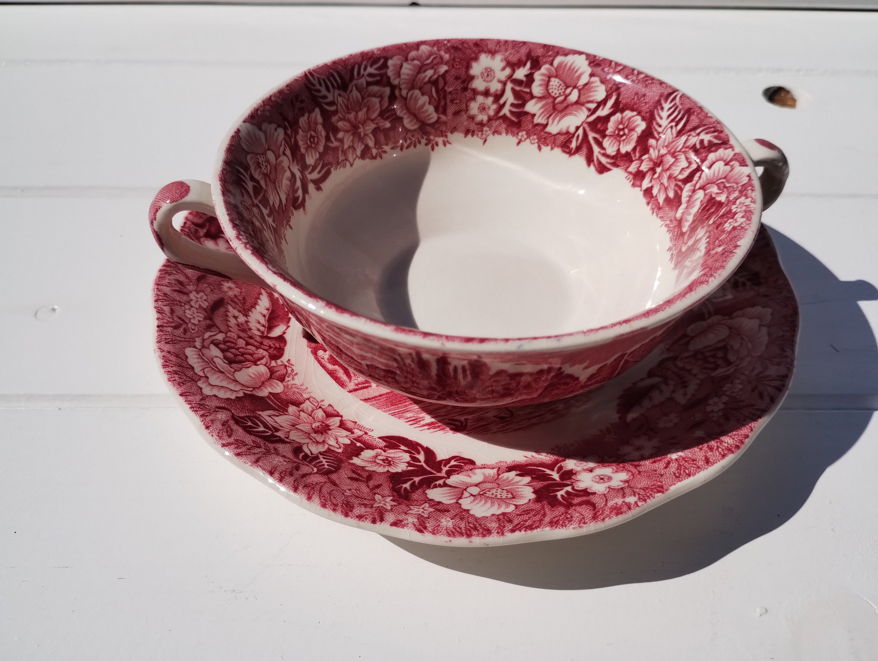 Beautiful Red English Porcelain Set Palissy Pottery Staffordshire