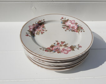 Zestaw 6 pięknych, porcelanowych talerzy deserowych w kwiaty Ukraine vintage