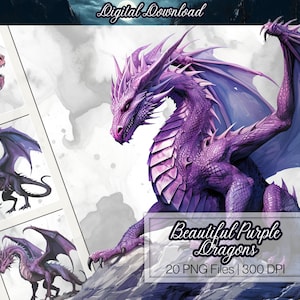 Lila Drache Clipart, kommerzielle Nutzung, PNG 300 DPI für digitalen Download, Fantasy ClipArt, Scrapbooks, Junk-Bücher, Sublimation, PoD, Kunstwerk