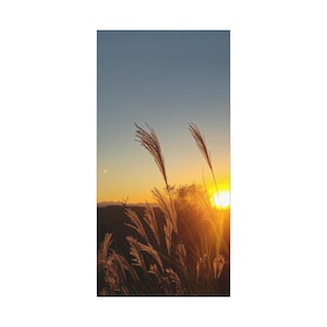 Sunset Serenity Matte Canvas Wall Art, Nature Decor, Home Aesthetic, Gift for Her, Living Room Decoration, Inspirational Wall Art