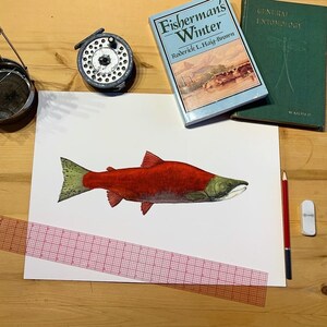 Sockeye Salmon Original watercolour