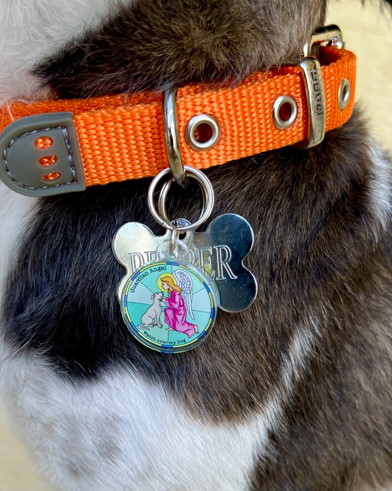 Guardian Angel Pet Medal Watch Over My Dog Religious Themed Dog Charm