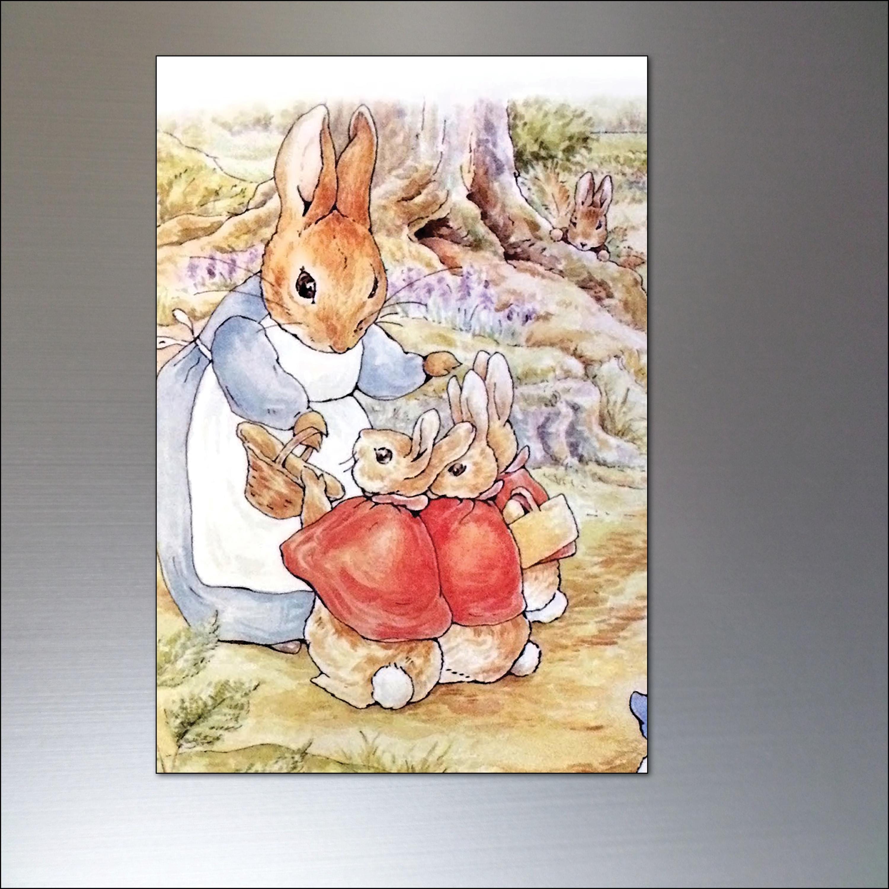 Peter Rabbit Fridge Magnets Set of 8 Illustrations From Beatrix Potter ...