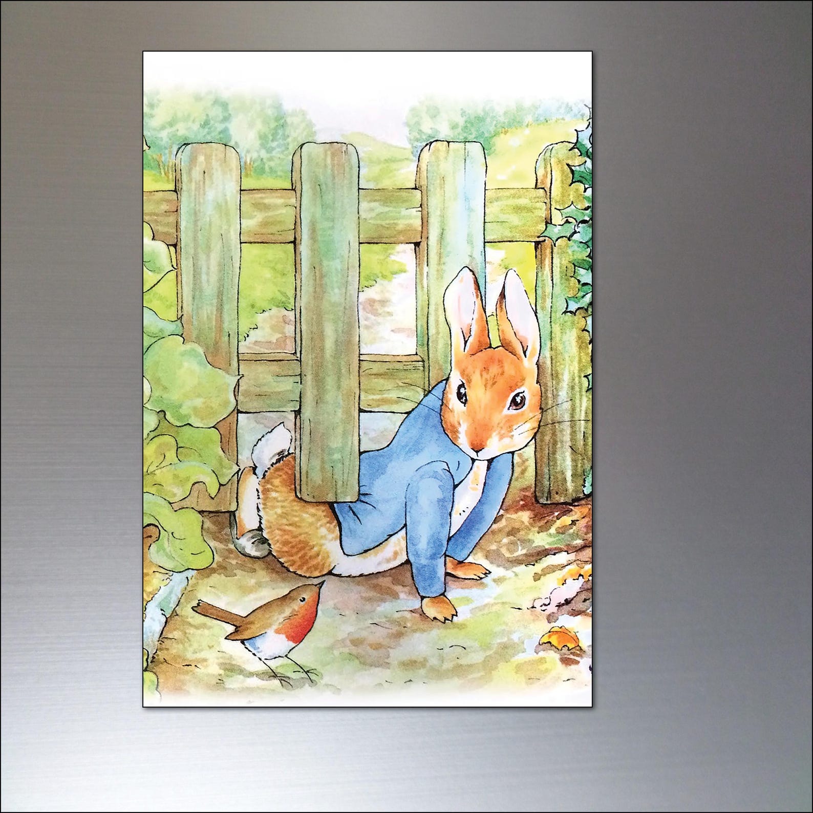 Peter Rabbit Fridge Magnets Set of 8 Illustrations From Beatrix Potter ...