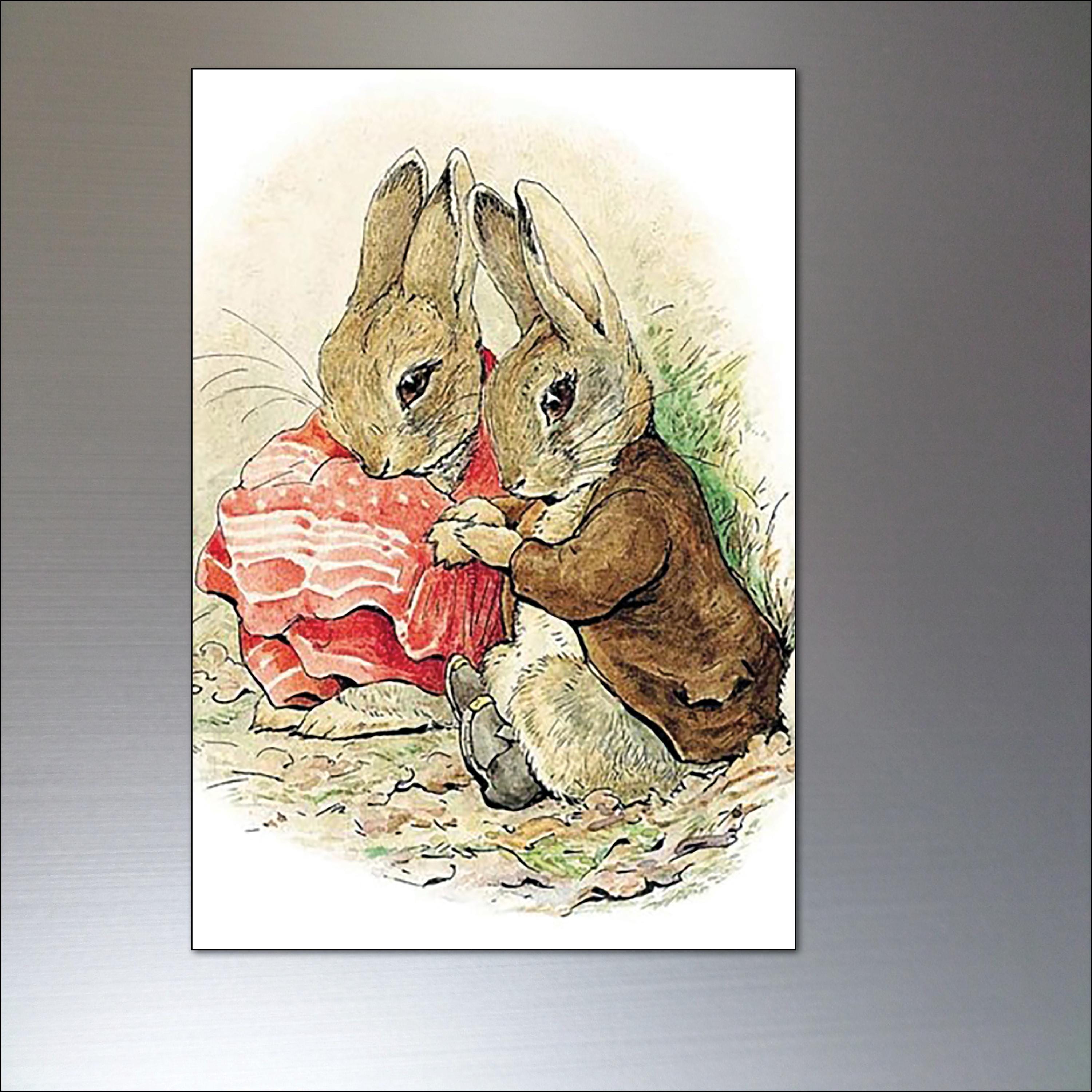 Peter Rabbit Fridge Magnets Set of 8 Illustrations From Beatrix Potter ...