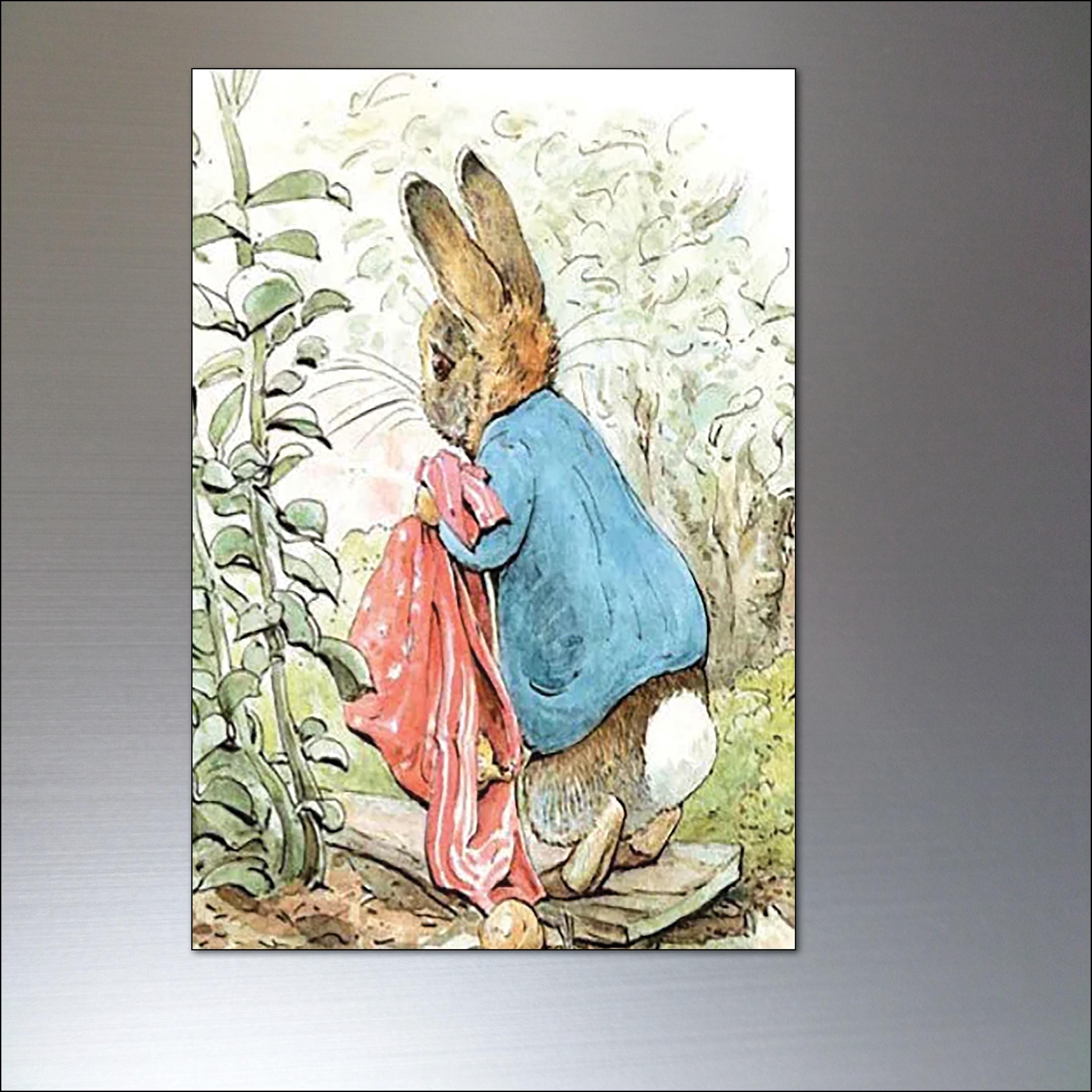 Peter Rabbit Fridge Magnets Set of 8 Illustrations From Beatrix Potter ...