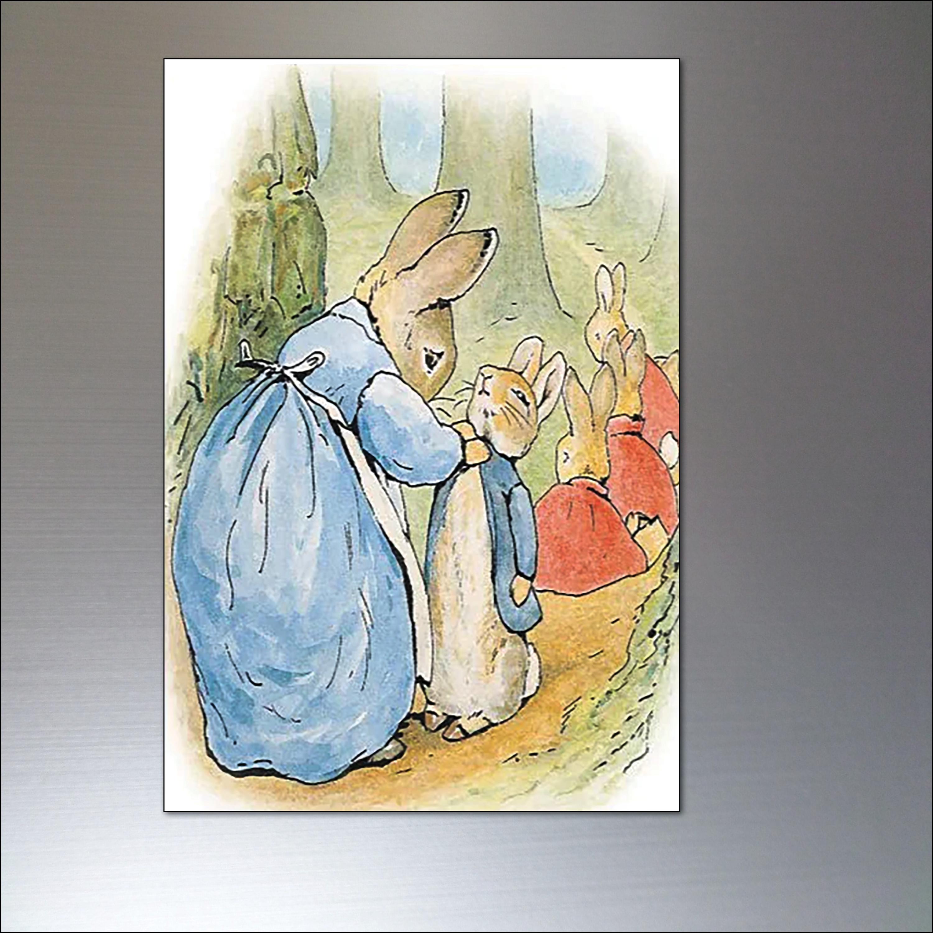 Peter Rabbit Fridge Magnets Set of 8 Illustrations From Beatrix Potter ...