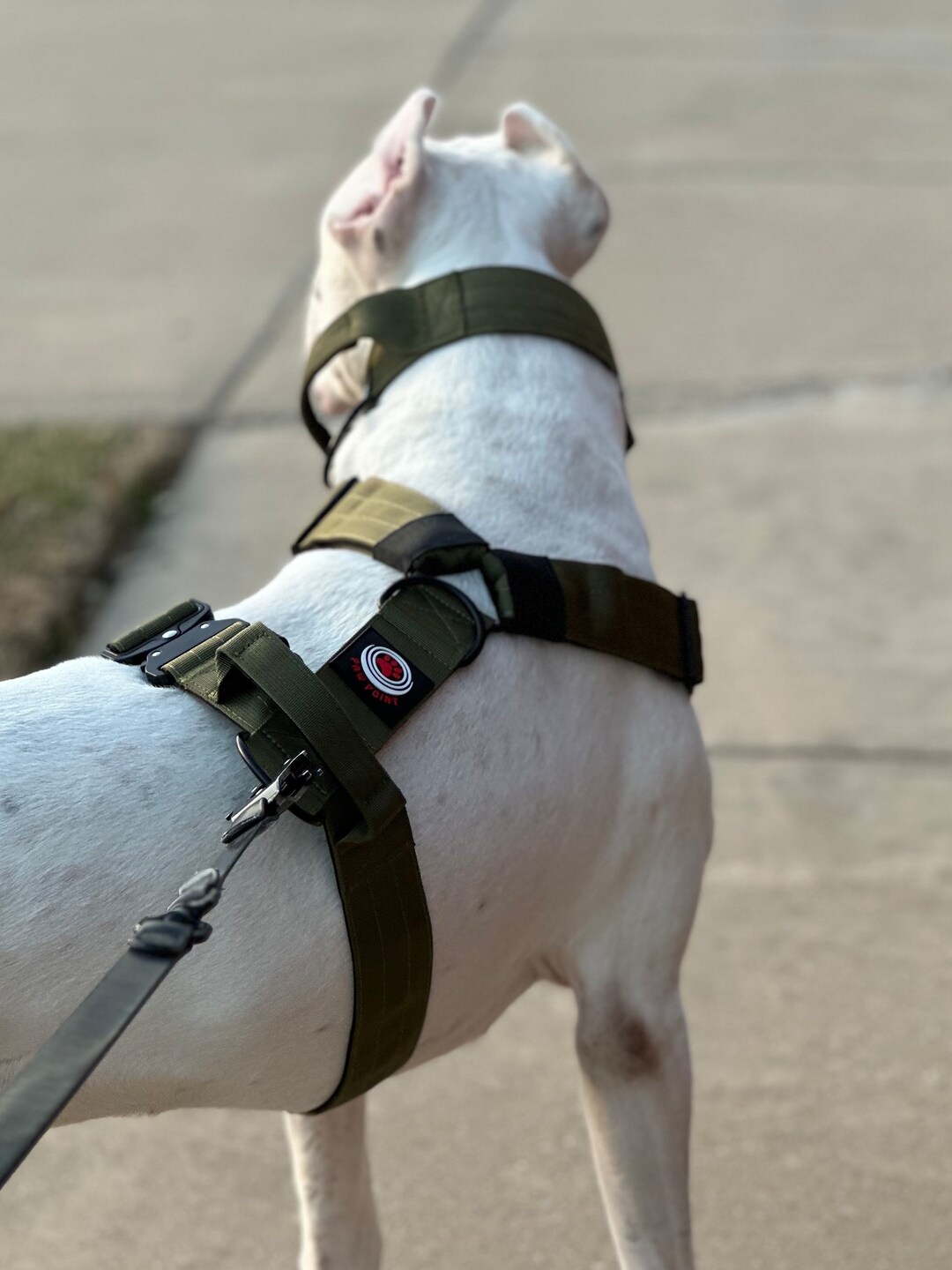 Custom 2 Inches Wide Heavy Duty Tactical Dog Harness. Metal Buckle for Quick Release. Your Dog