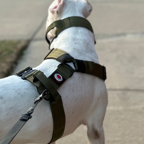 Heavy Duty Custom Dog Harness Etsy