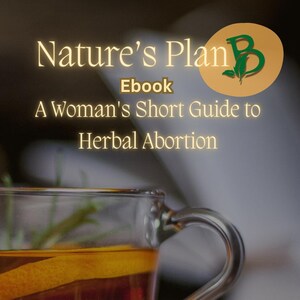 May include: A close-up of a glass mug filled with a brown liquid and a lemon slice. The mug is on a wooden surface with herbs and a small bottle of essential oil. The text "Nature's Plan Ebook A Woman's Short Guide to Herbal Abortion Discover Natural Contraceptive Methods & Nature's Plan E. LION Naturesplanb.com" is visible on the image.