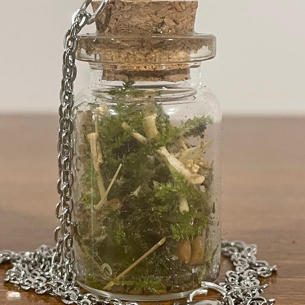 Genuine Rodent bone terrarium - necklace