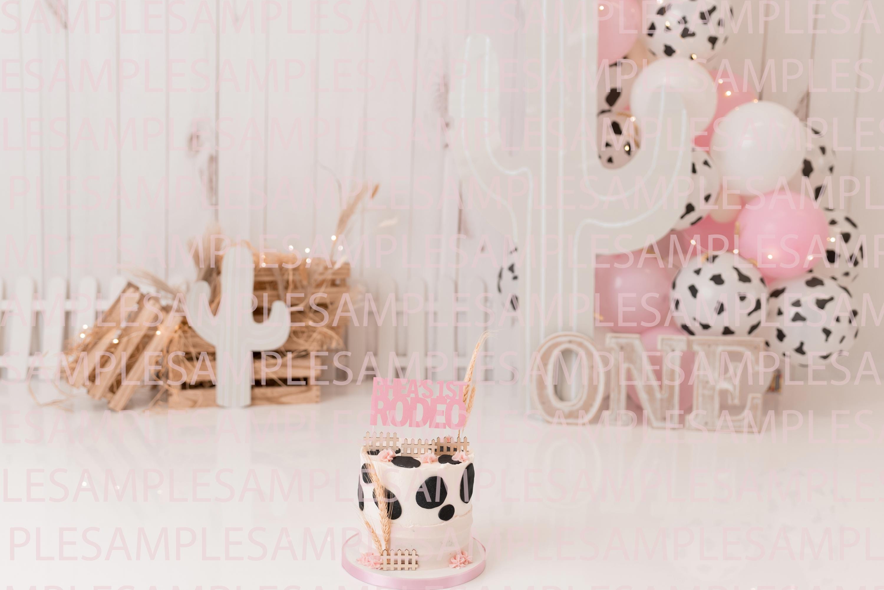 My First Rodeo Cake Smash Background, Digital File Only! - Etsy