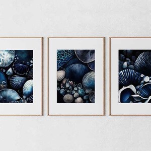 Ocean Coral Art, Set of 3 Farmhouse Wall Art, Digital art download, Nature Bedroom Wall prints, Farmhouse Décor, Kitchen Décor
