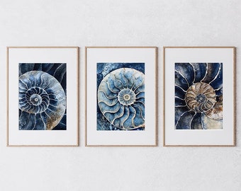 Ammonite Art, 3er-Set, Bauernhaus-Wandkunst, digitale Kunst Download, Natur-Schlafzimmer-Wanddruck, Bauernhaus-Dekor, Küchen-Wanddekor