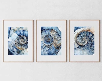 Ammonite Art, 3er-Set, Bauernhaus-Wandkunst, digitale Kunst Download, Natur Schlafzimmer Wanddrucke, Bauernhaus-Dekor, Küchen-Wand-Dekor, Digital