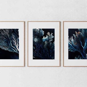 Ocean Coral Art, Set of 3 Farmhouse Wall Art, Digital art download, Nature Bedroom Wall prints, Farmhouse Décor, Kitchen Décor