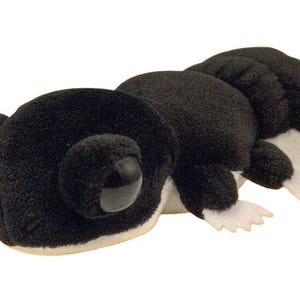 May include: A plush toy caterpillar in black and white. The caterpillar has a segmented body, large eyes, and small white feet. The toy is made of a soft, fuzzy material.