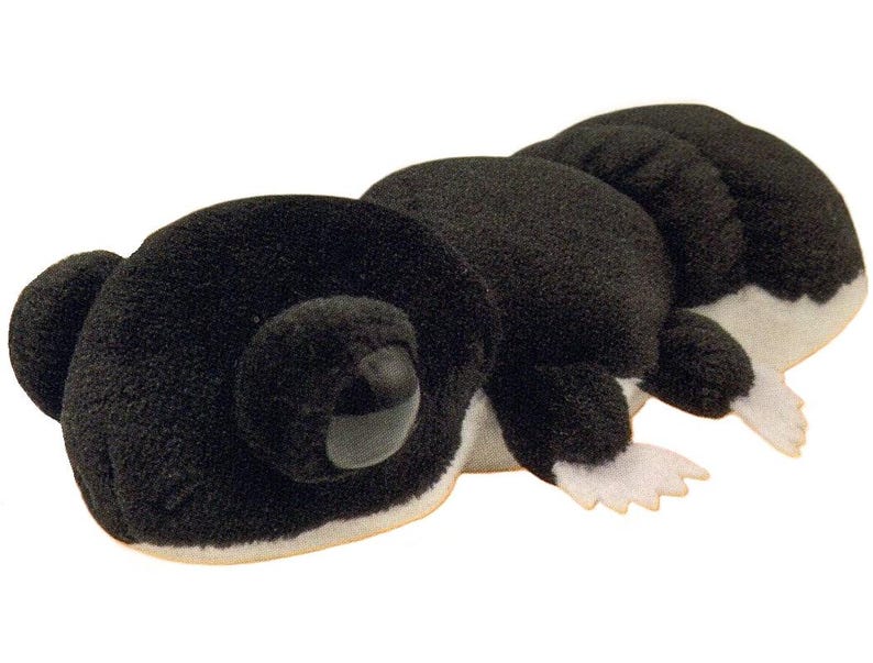 May include: A plush toy caterpillar in black and white. The caterpillar has a segmented body, large eyes, and small white feet. The toy is made of a soft, fuzzy material.