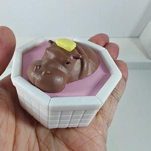 5 Pygmy hippopotamus