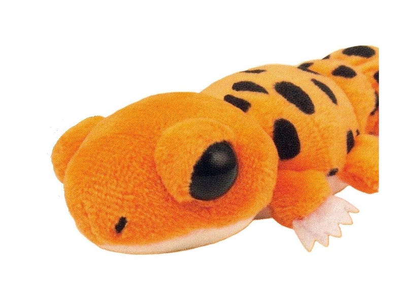 May include: Orange plush toy lizard with black spots and large black eyes. The toy has a white underbelly and small white claws. The lizard is a soft, stuffed animal.