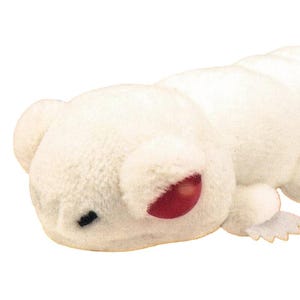 May include: A white plush toy caterpillar with a red eye and small black dot. The caterpillar has a soft, fuzzy texture and a segmented body. The toy has small, white, claw-like feet.