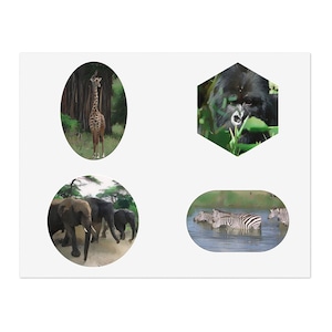 Folhas de adesivos de safári - Adesivos ecológicos de animais africanos para amantes de animais e entusiastas da natureza, decoração com tema de selva, decalques de vida selvagem,