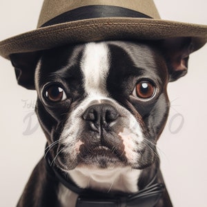 Boston Terrier Printable Portrait Dog Poster Photo Wall Art Digital ...