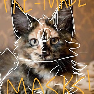 May include: A tortoiseshell cat with brown, black, and orange fur is the focus of this image. The words "PRE-MADE MASKS!" are written in orange marker over the image, with white line art around the cat's face.