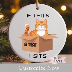 Personalized Cat Ornament Gift For Cat Mom Funny Cat Owner Ornament With Custom Cat Name Ornament For Cat Tree Decor Gift Cat Lover Ornament