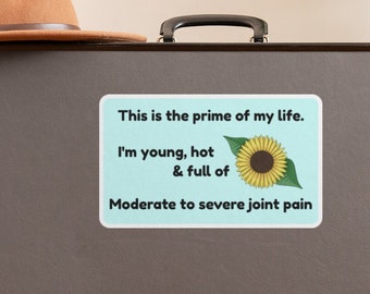 I'm Young Hot & Full of Moderate to Severe Joint Pain Funny Chronic Illness Sticker, Ehlers Danlos Flare Day Decal, Disability Spoonie Gift