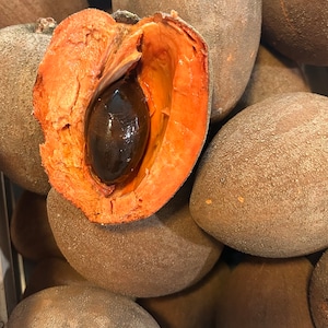 Mamey Sapote - Creamy & Sweet Tropical Treat | Fresh| Organic Mamey Fruit