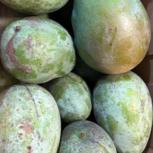Keitt Mango Box – Late-Season Giant Mangoes – Juicy, Tangy-Sweet Flavor –a classic Florida mango