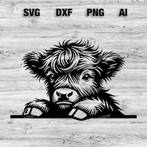 Peeking Highland Cow Head | Highlander Cow Vector Graphic Laser File Silhouette Clip Art, Cameo, Cricut SVG, PNG, Dxf, Ai, Instant Download