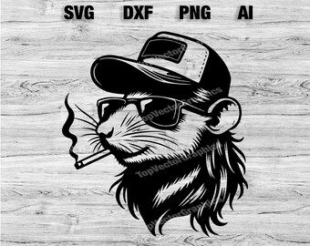 il_340x270.6019786316_aygh.jpg