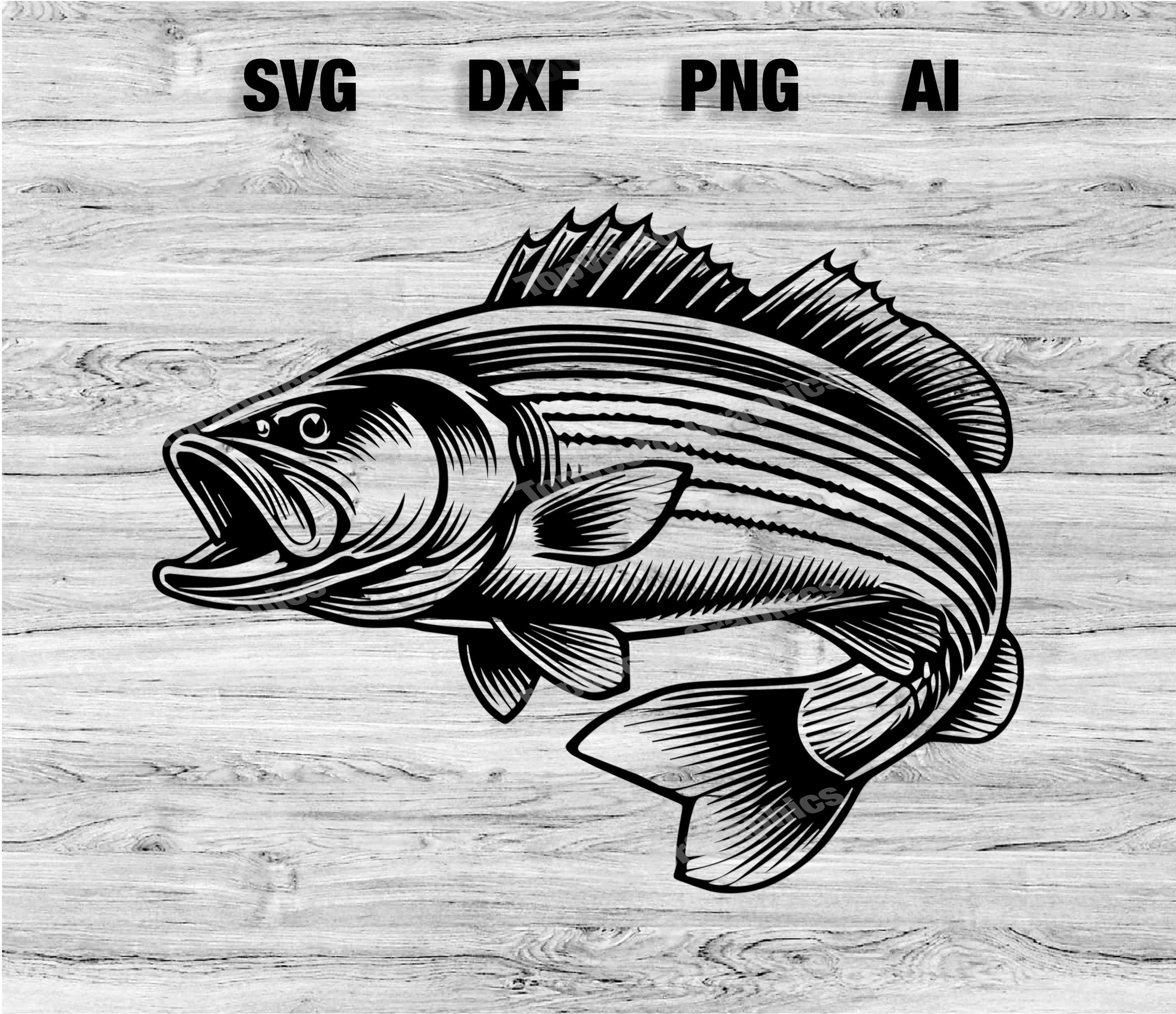 Striped Bass Fish Cut File | Outdoor Fishing Graphic Wall Art ...
