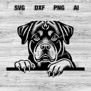 Peeking Rottweiler Head | Dog Vector Graphic Laser File Silhouette Clip Art, Cameo, Cricut SVG, PNG, Dxf, Ai, Instant Download