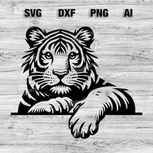 Könnte beinhalten: Schwarz-weiß-Linienkunst-Illustration eines Tigerkopfes, der über eine Oberfläche schaut. Der Tiger hat einen ernsten Ausdruck und schaut direkt auf den Betrachter.