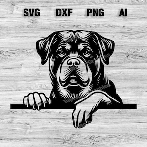 Peeking Rottweiler Head | Dog Vector Graphic Laser File Silhouette Clip Art, Cameo, Cricut SVG, PNG, Dxf, Ai, Instant Download