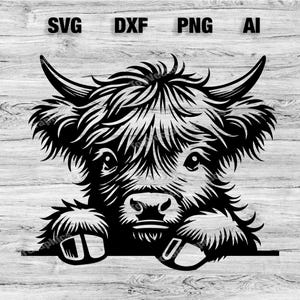 Peeking Highland Cow Head | Highlander Cow Vector Graphic Laser File Silhouette Clip Art, Cameo, Cricut SVG, PNG, Dxf, Ai, Instant Download