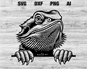 Buy Peeking Bearded Dragon Head | Svg Png Dxf Eps Pdf | Vector Graphic ...
