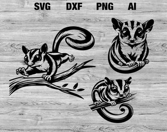 3 Cute Sugar Glider Vector Graphics for DIY Crafts and Projects | Sugar Glider silhouette Cricut SVG, PNG, Dxf, Ai | Instant Download Bundle