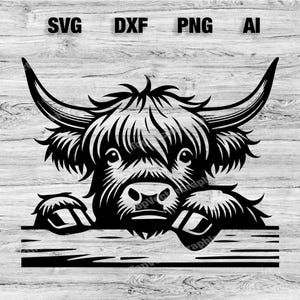 Peeking Highland Cow Head | Highlander Cow Vector Graphic Laser File Silhouette Clip Art, Cameo, Cricut SVG, PNG, Dxf, Ai, Instant Download