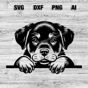 Peeking Rottweiler Head | Dog Vector Graphic Laser File Silhouette Clip Art, Cameo, Cricut SVG, PNG, Dxf, Ai, Instant Download
