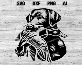 May include: Black and white illustration of a Labrador Retriever retrieving a duck. The dog is holding the duck in its mouth and has a serious expression on its face. The duck is facing the left side of the image.