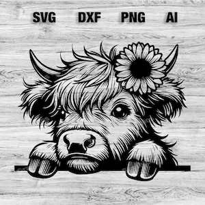Peeking Highlander Cow Head | Highland Cow Vector Graphic Laser File Silhouette Clip Art, Cameo, Cricut SVG, PNG, Dxf, Ai, Instant Download