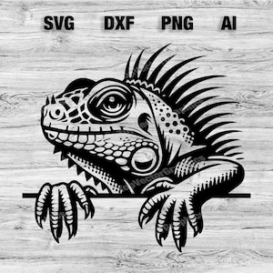 Peeking Iguana Head | Iguana Vector Graphic Laser File Silhouette Clip Art, Cameo, Cricut SVG, PNG, Dxf, Ai, Instant Download