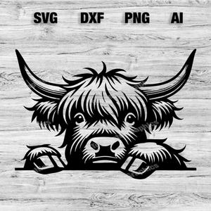 Peeking Highland Cow Head | Highlander Cow Vector Graphic Laser File Silhouette Clip Art, Cameo, Cricut SVG, PNG, Dxf, Ai, Instant Download